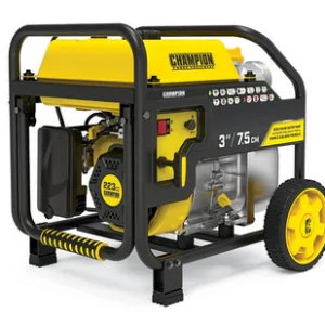 Champion puhta / musta vee pump - 1000 L/min